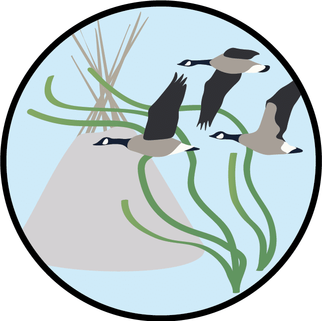 An oval illustration featuring three geese flying in front of a stylized background, with green curved lines resembling reeds and a triangular shape suggesting a hill or mountain.